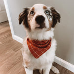 Load image into Gallery viewer, Reversible Fall Dog Bandana
