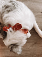 Load image into Gallery viewer, Reversible Fall Dog Bandana
