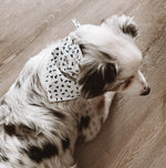 Load image into Gallery viewer, Reversible Navy Dog Bandana
