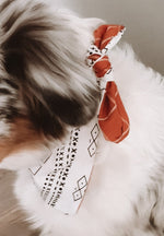 Load image into Gallery viewer, Reversible Fall Dog Bandana
