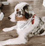 Load image into Gallery viewer, Reversible Fall Dog Bandana
